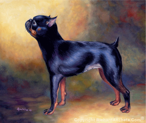 Black petite brabançon, standing side view profile, dog with black silky shinny hairs and golden brown chest, oil painting on canvas by Richard Ancheta.