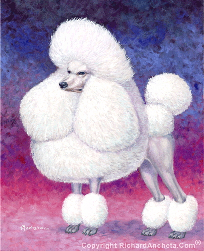 Poodle with afro haircuts and hairstyles from volume of the white curly coat. Painted with textured backgrounds of the gradation of blue and fuchsia - oil painting by Richard Ancheta.