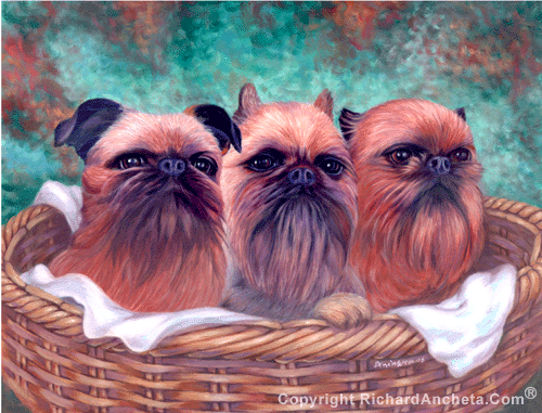 Three griffon bruxellois on a basket with green and brown background - oil painting by Richard Ancheta.