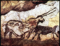 cave paintings found at Lascaux