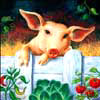 Pig Painting - Animal Paintings