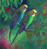 Parakett Perruche ondulée -Bird Paintings