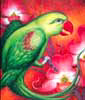 Green Parrot-Bird Paintings