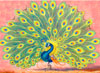 Peacock-Bird Paintings