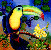 Toucan-Bird Paintings