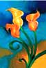 Calla Lily oil painting.