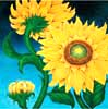 Sunflower oil painting.