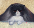 Black persian cat oil painting.