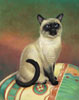 Old style siamese cat oil painting.