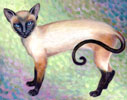 Siamese cat oil painting.