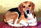Beagle painting.