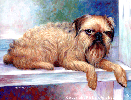 Brussels griffon oil painting.
